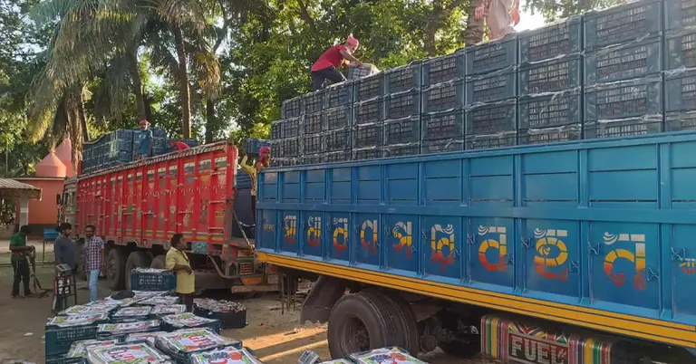 হিলি স্থলবন্দর দিয়ে টমেটো আমদানি